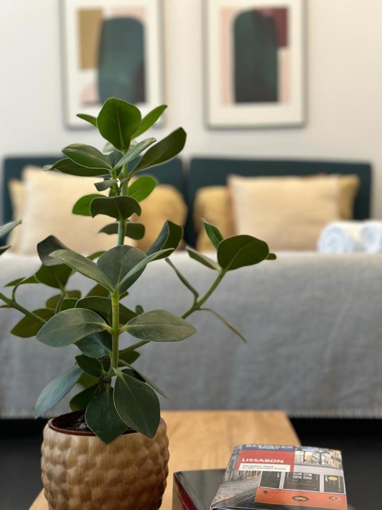 Homestay Com Varanda Centro De *